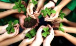 Swift-Theme-Growth